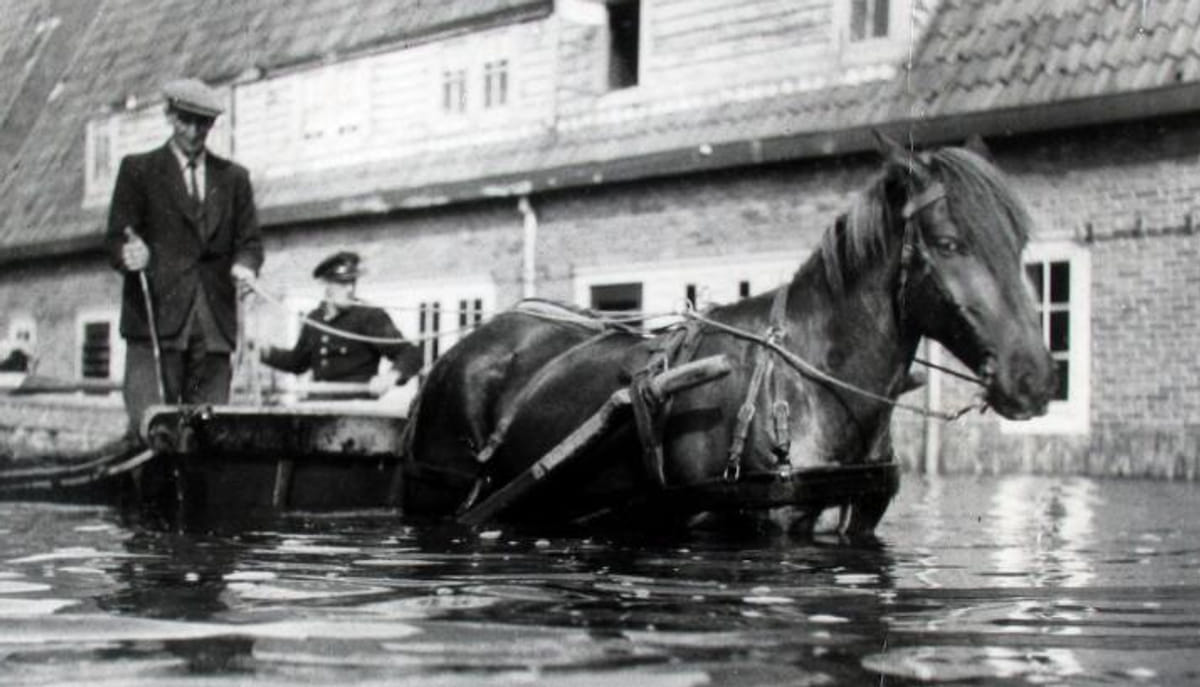 Operatie Vitality in Zuid-Beveland