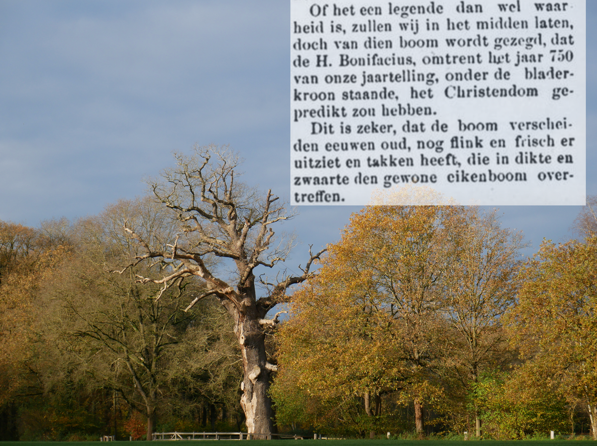 Verwoldeeik