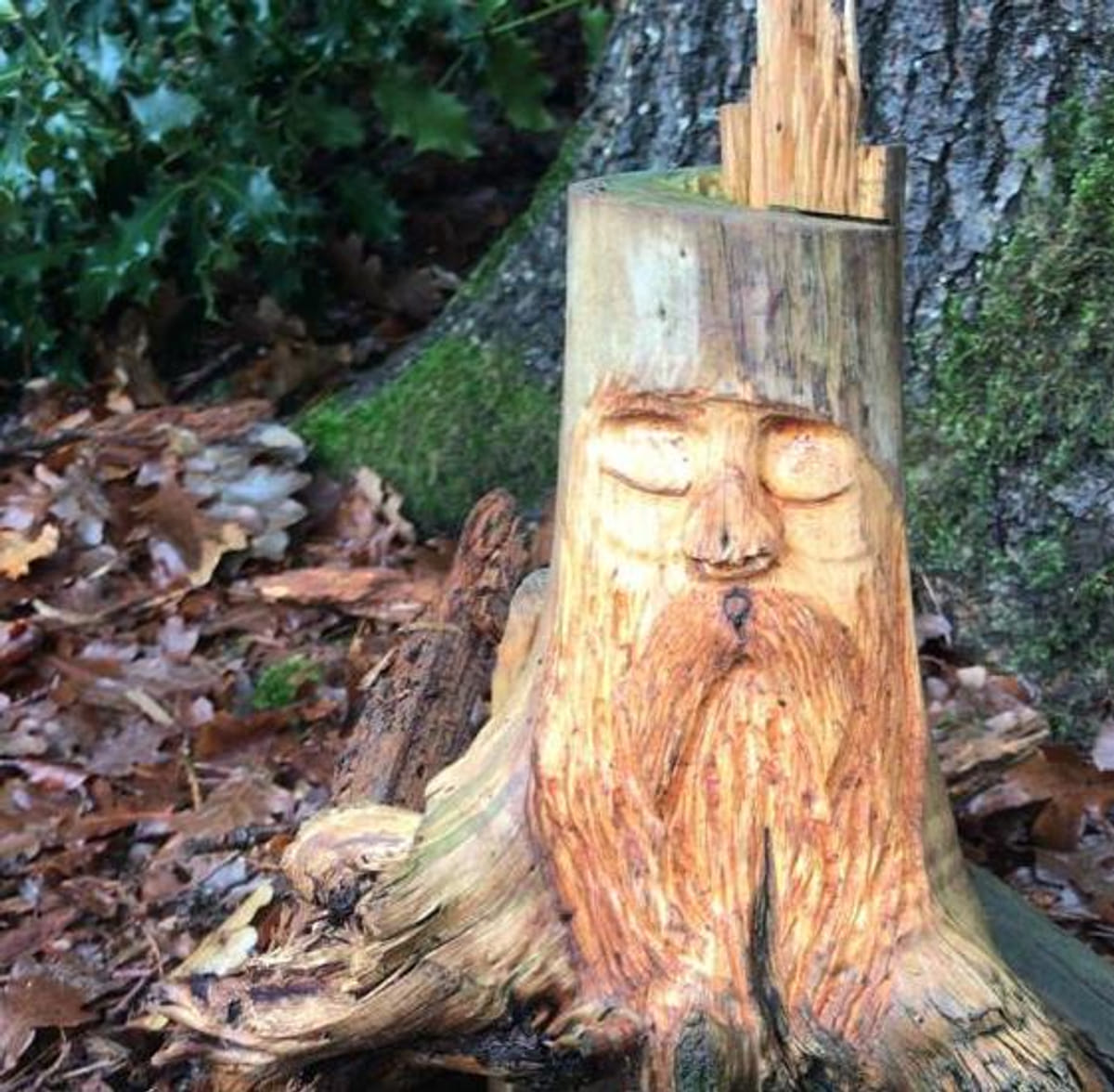 Een spirit in het bos