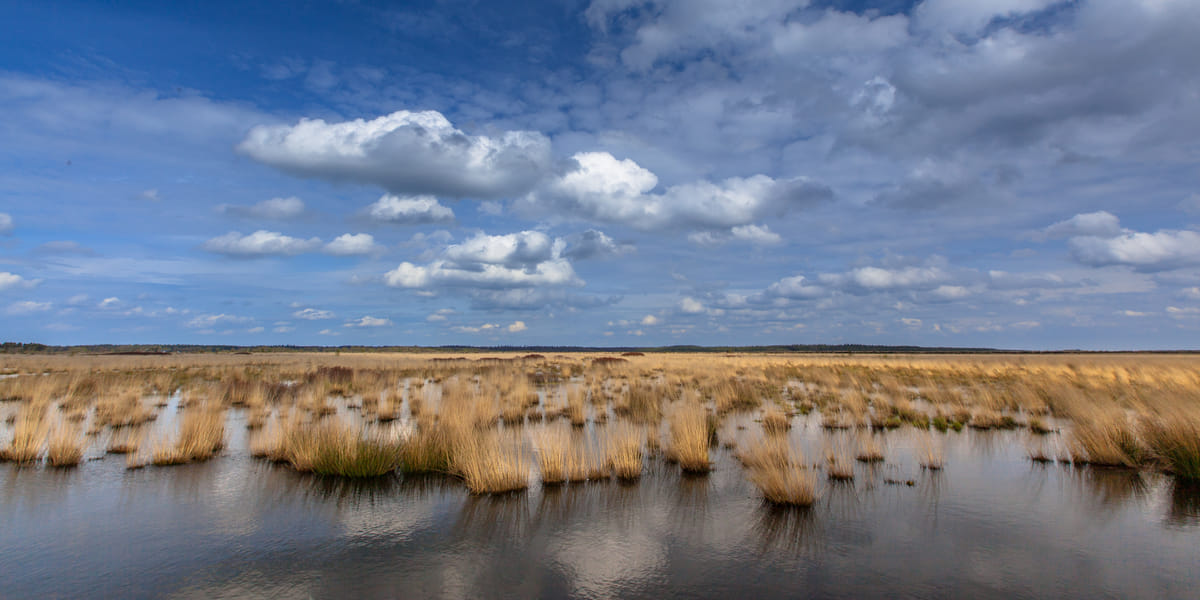 Fochtloerveen