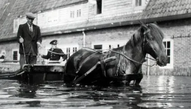 Operatie Vitality in Zuid-Beveland