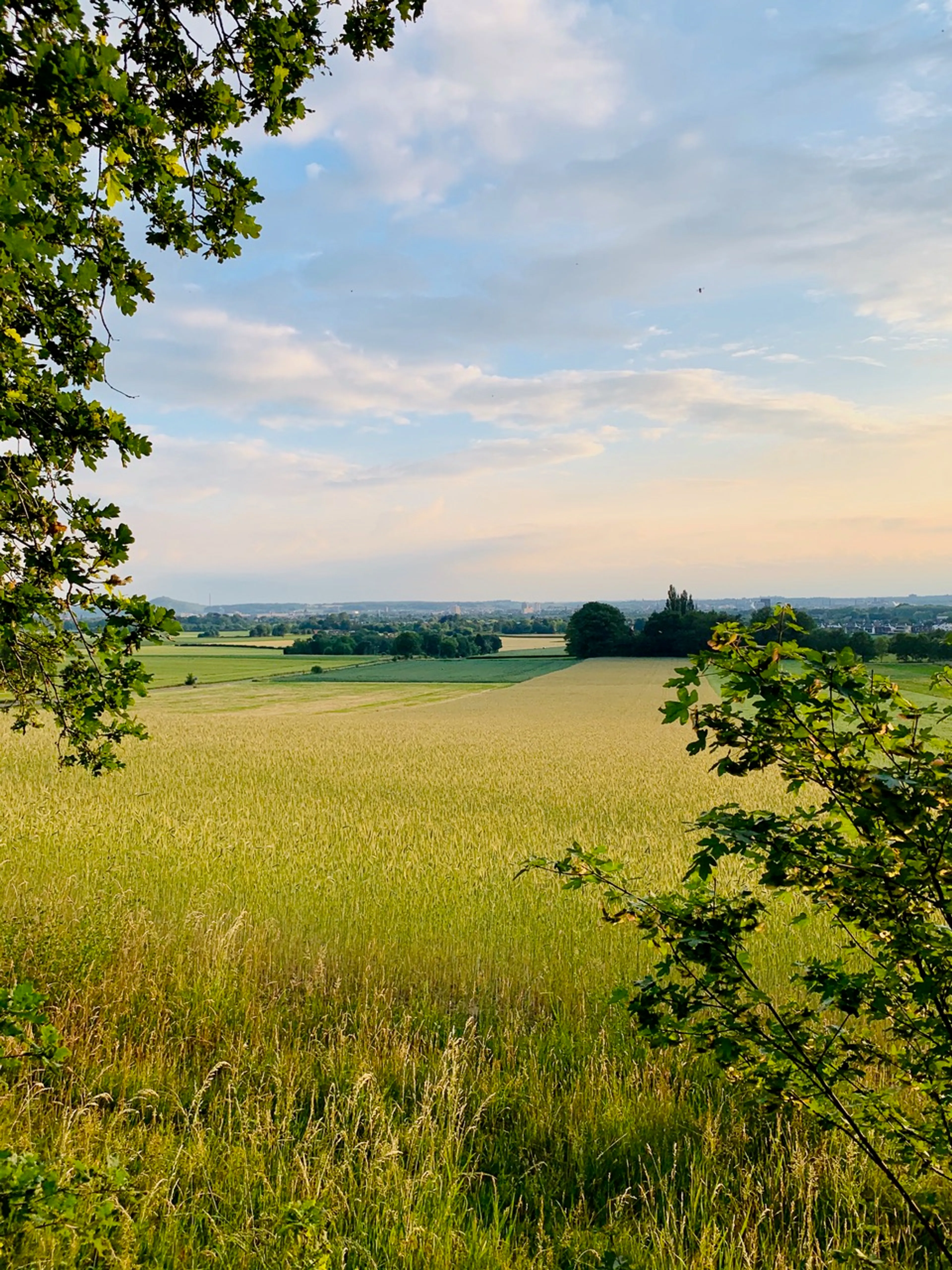Uitgelichte afbeelding