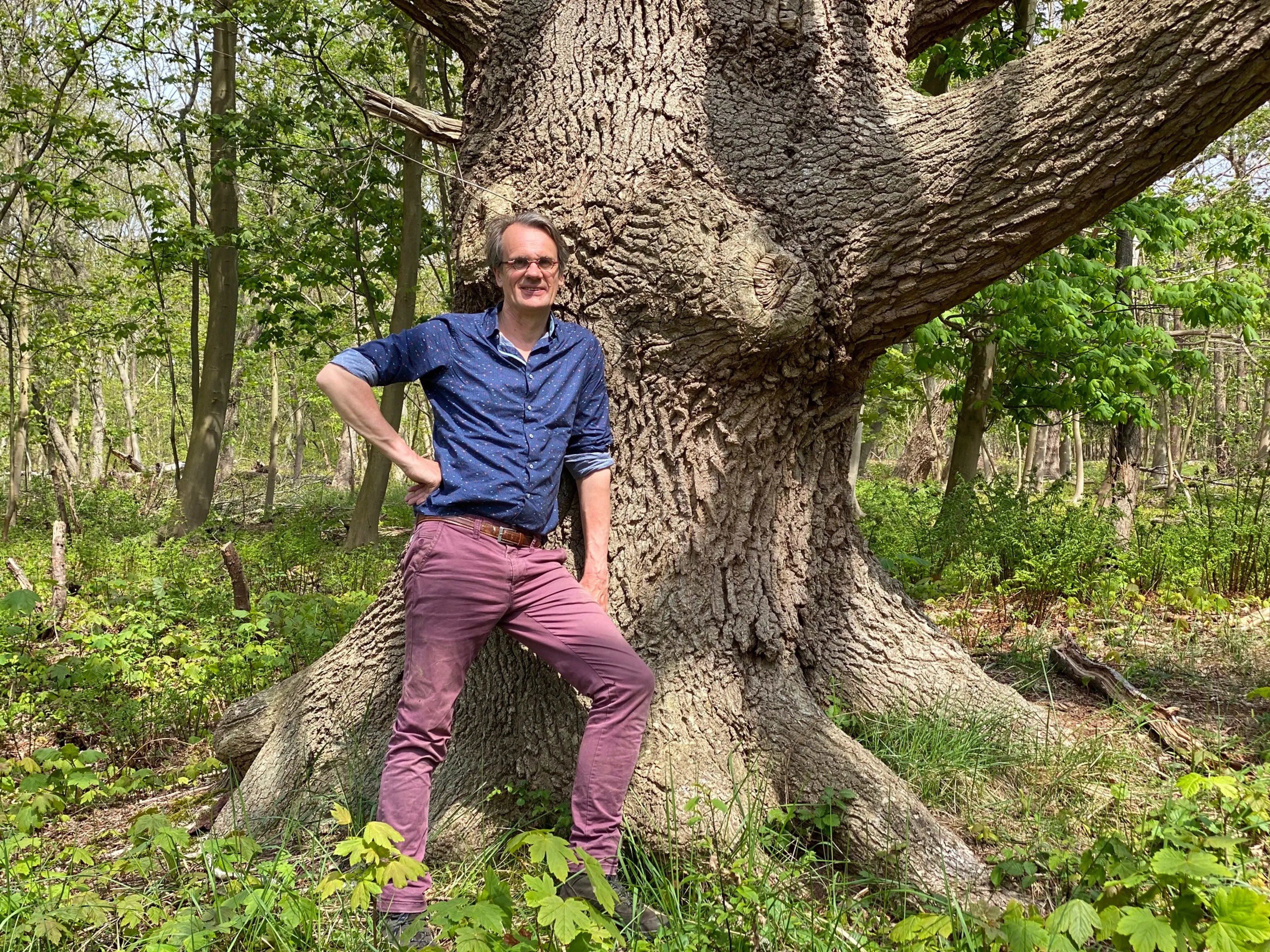 Uitgelichte afbeelding