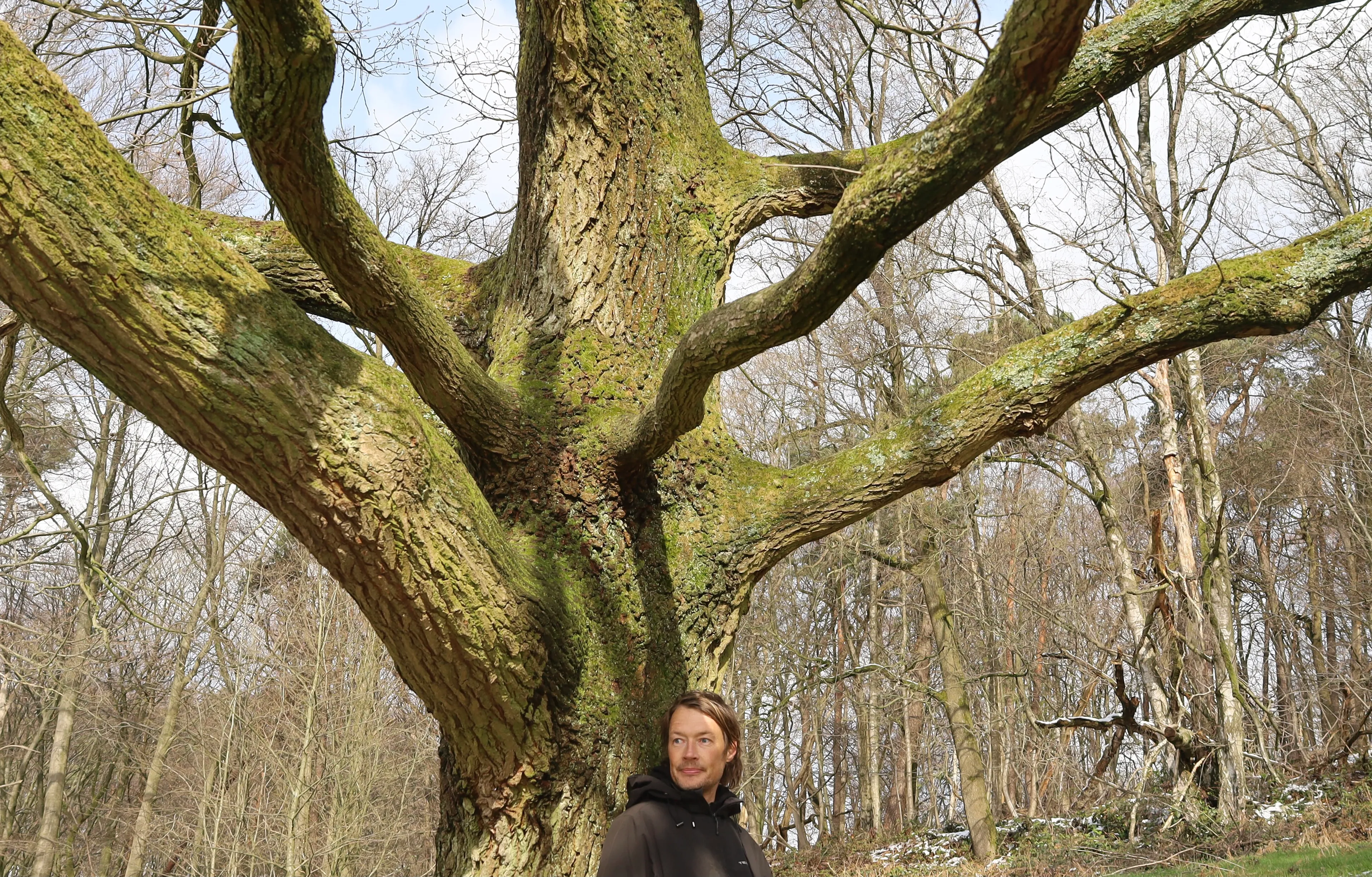 Eik kampioen biodiversiteit, maar er kan nog meer bij