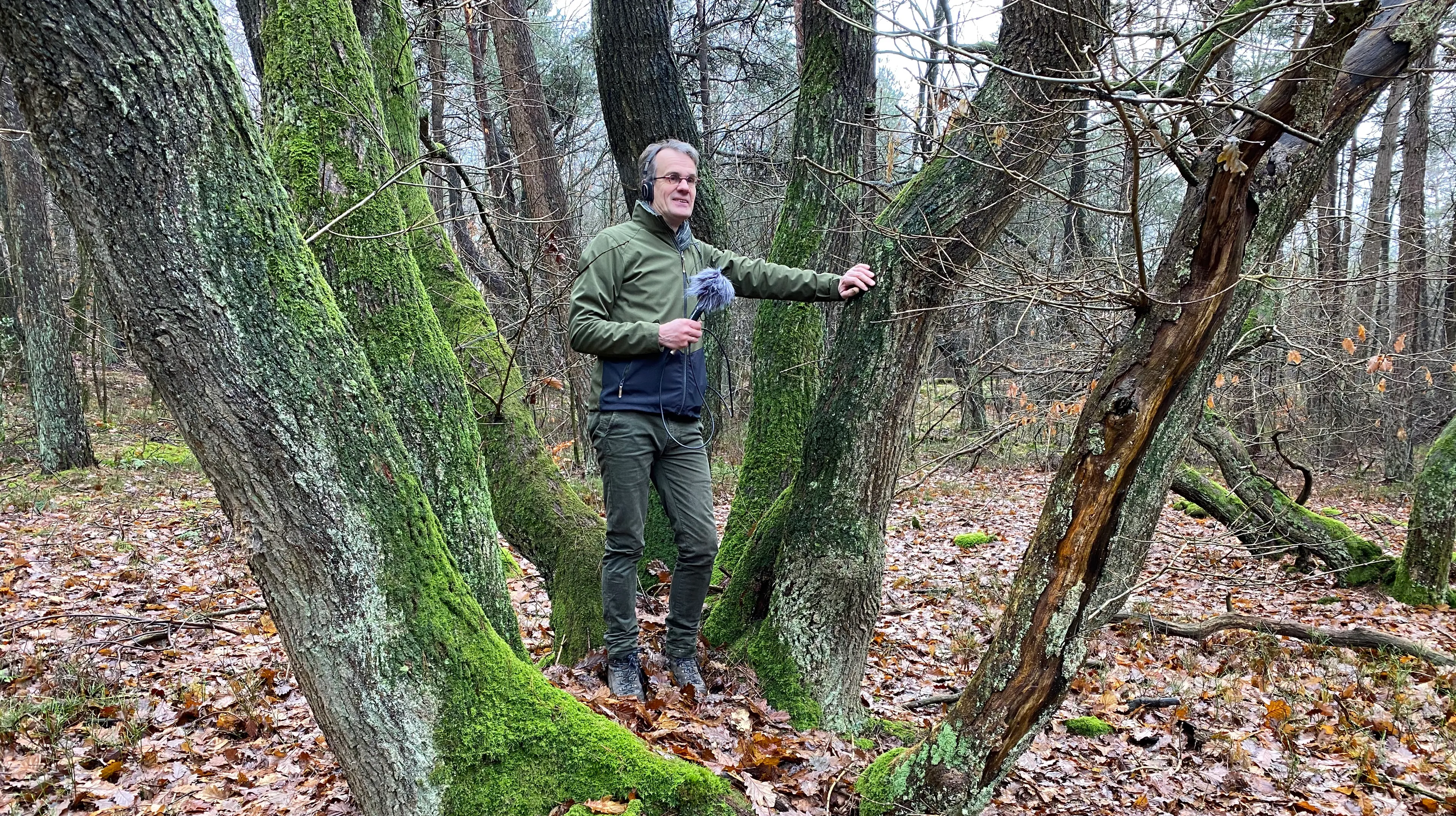 Uitgelichte afbeelding