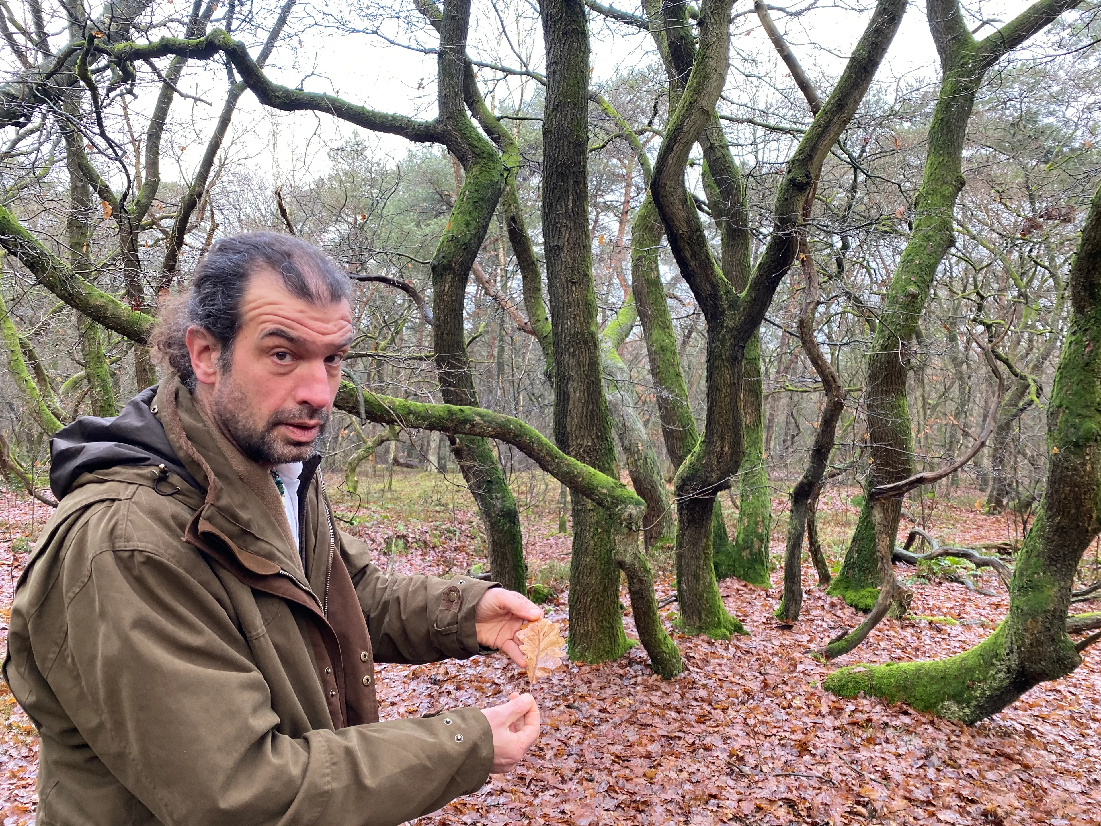 Uitgelichte afbeelding