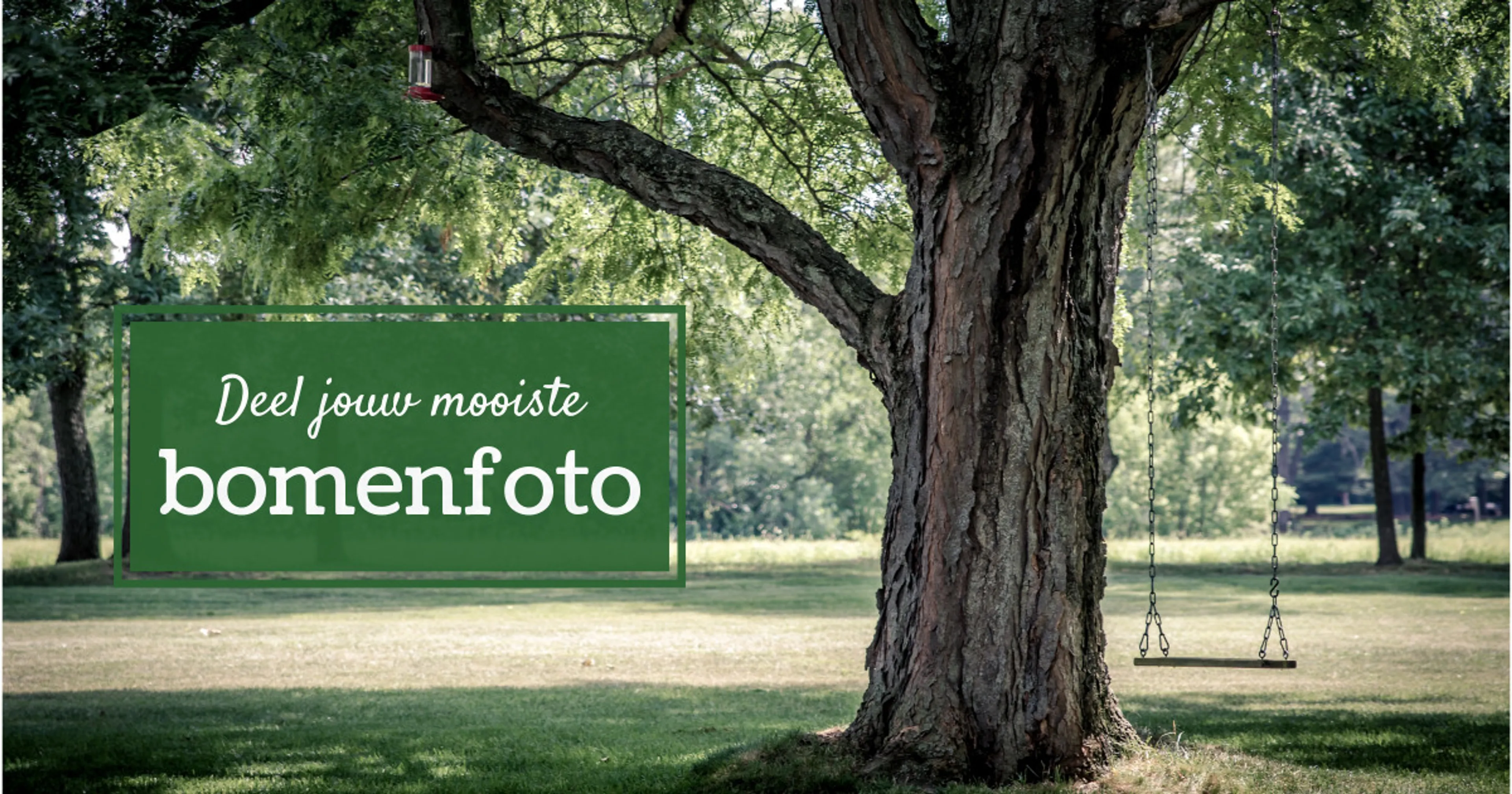 Uitgelichte afbeelding