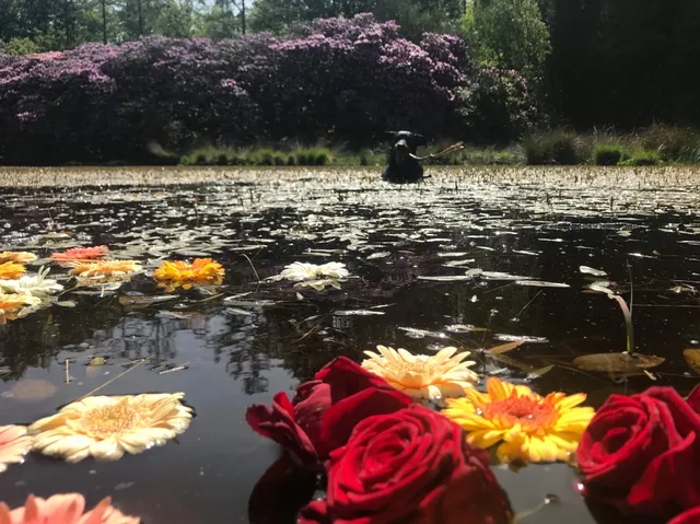 Uitgelichte afbeelding