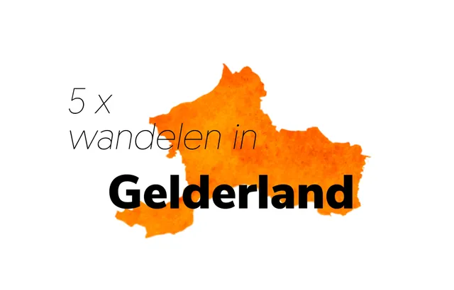 Uitgelichte afbeelding