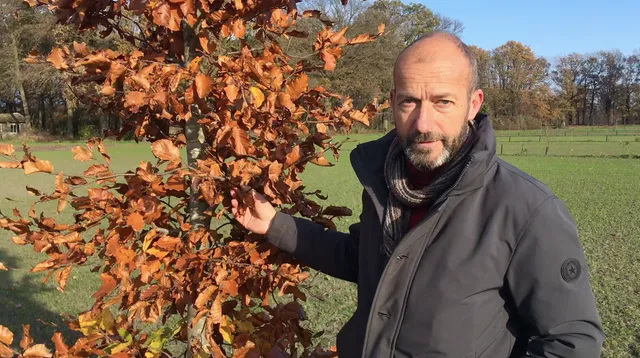 Uitgelichte afbeelding