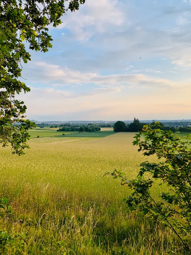 Uitgelichte afbeelding
