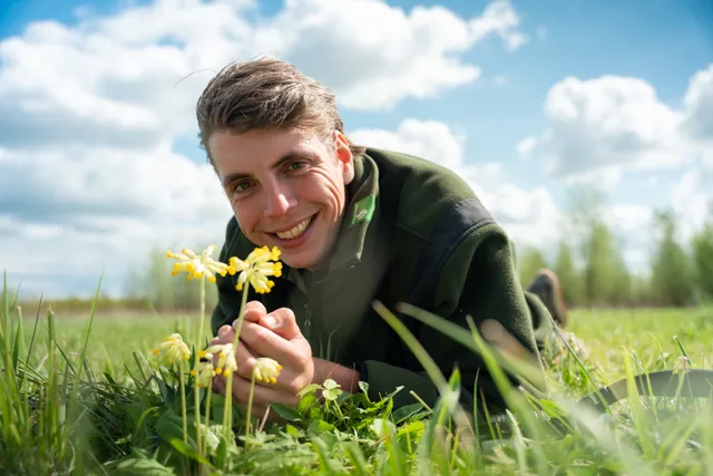 Uitgelichte afbeelding