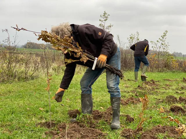 Uitgelichte afbeelding