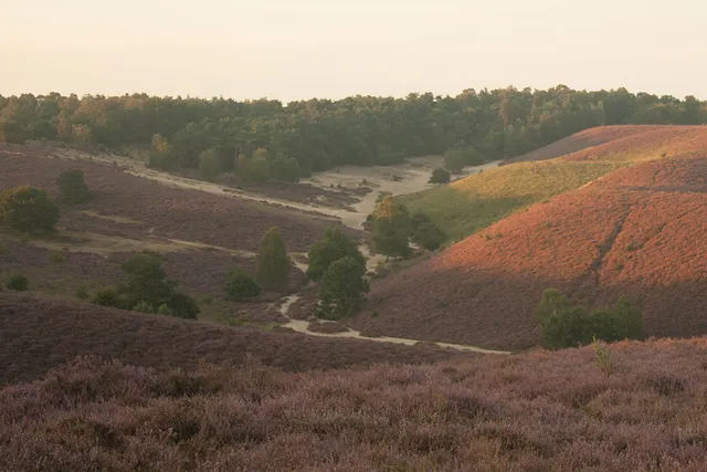 Uitgelichte afbeelding