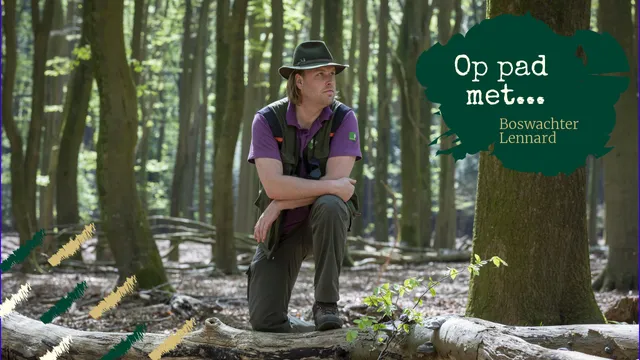 Uitgelichte afbeelding