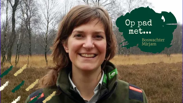 Uitgelichte afbeelding