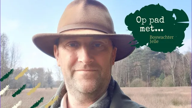 Uitgelichte afbeelding