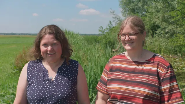 Uitgelichte afbeelding