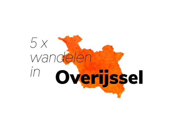 Uitgelichte afbeelding