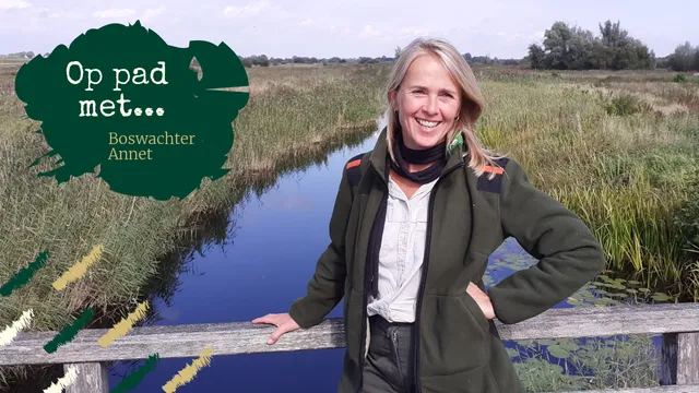 Uitgelichte afbeelding