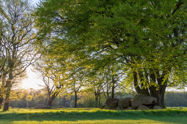 Uitgelichte afbeelding