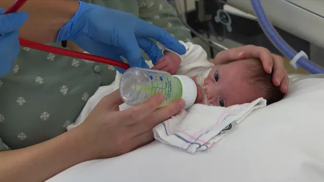 Uitgelichte afbeelding