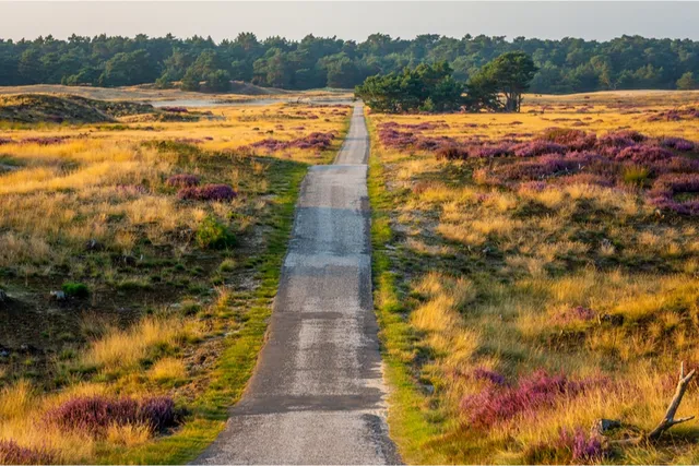 Uitgelichte afbeelding