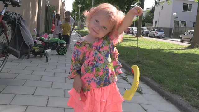 Uitgelichte afbeelding