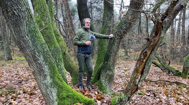 Uitgelichte afbeelding