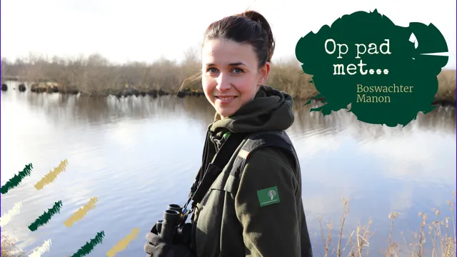 Uitgelichte afbeelding