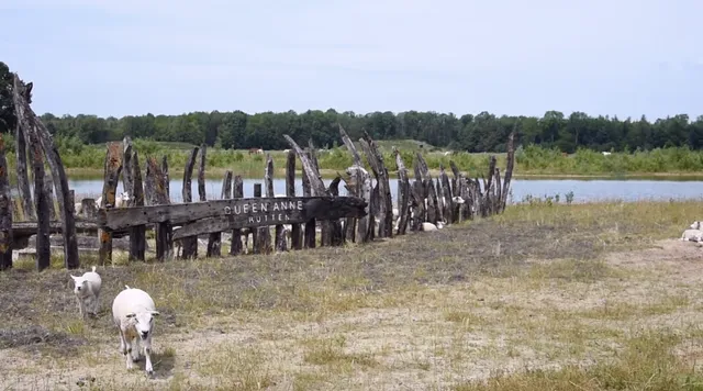 Uitgelichte afbeelding