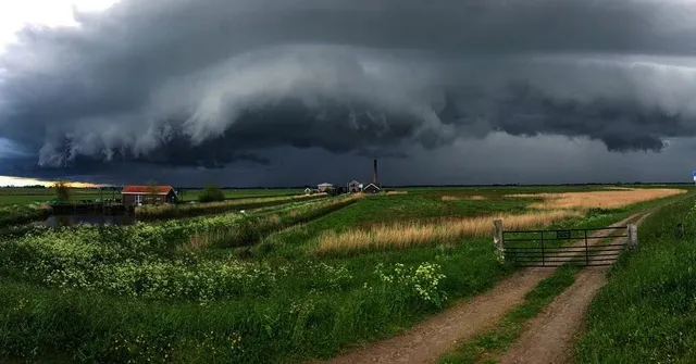 Uitgelichte afbeelding