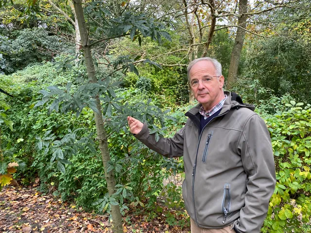 Uitgelichte afbeelding