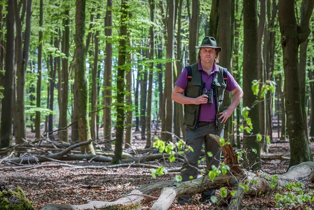 Uitgelichte afbeelding