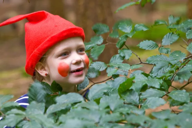 Uitgelichte afbeelding