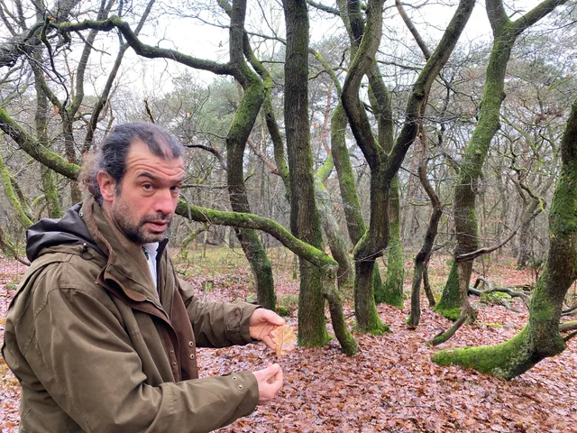 Uitgelichte afbeelding