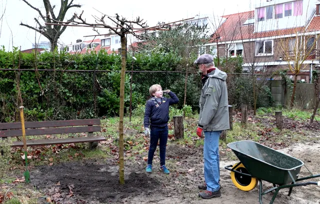 Uitgelichte afbeelding