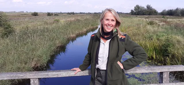 Uitgelichte afbeelding