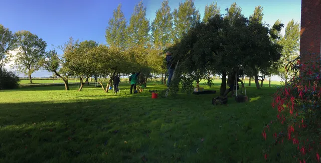 Uitgelichte afbeelding