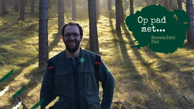 Uitgelichte afbeelding