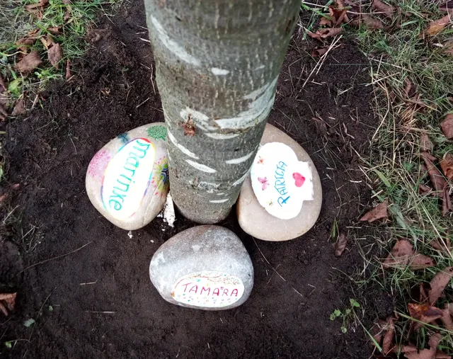 Uitgelichte afbeelding