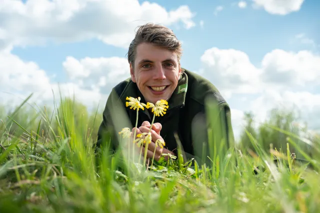 Uitgelichte afbeelding