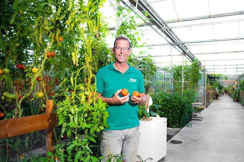 Tuinder Ron: ‘Hier kun je 52 weken per jaar groenten oogsten’