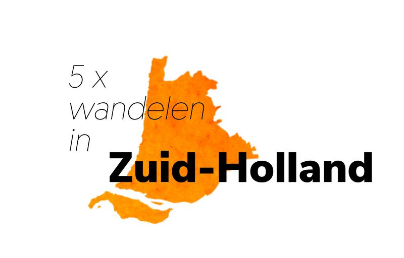 5 keer wandelen in Zuid-Holland